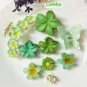 Combo of Hair Accessories
